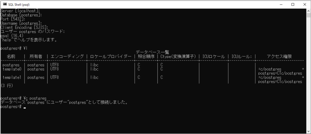 PostgreSQL 実行確認画面